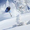 Deep Powder Skier - Snowbird, Utah